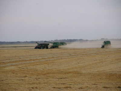 Harvesting in a field