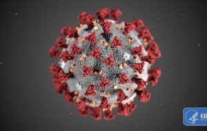 Image of a Virus model